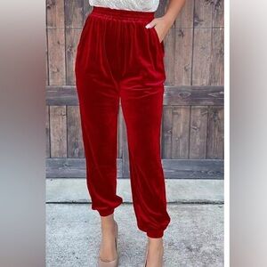 Better Be Burgundy Velvet Joggers